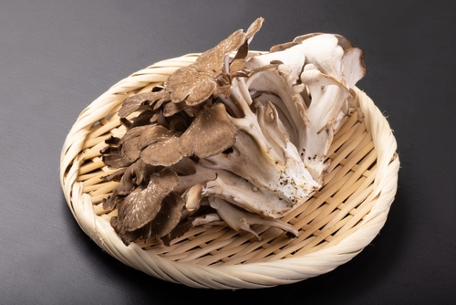 Houba maitake